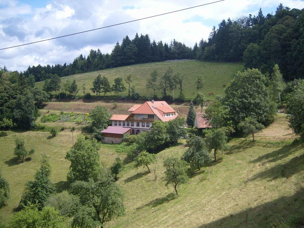 شقة أوبيرهارميرسباخ  في Langenberghof المظهر الخارجي الصورة