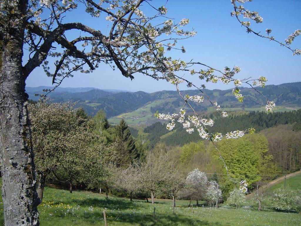 شقة أوبيرهارميرسباخ  في Langenberghof المظهر الخارجي الصورة