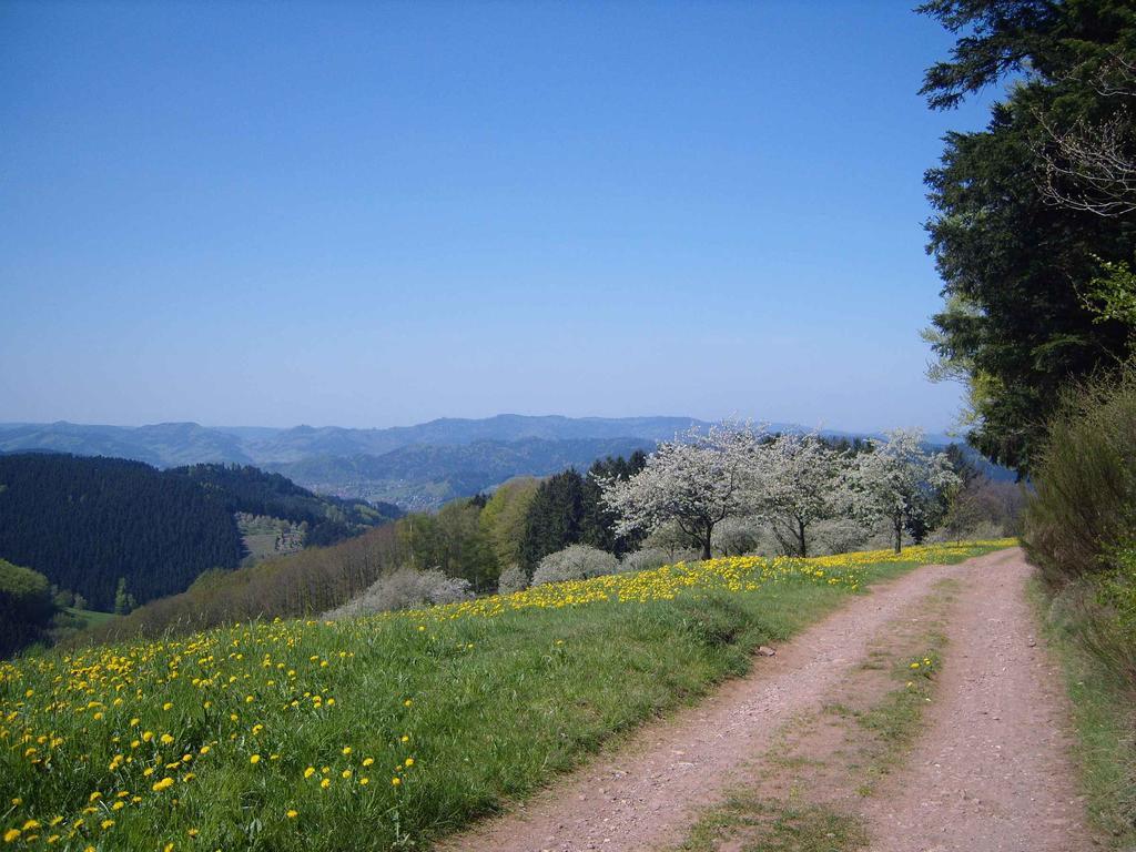 شقة أوبيرهارميرسباخ  في Langenberghof المظهر الخارجي الصورة