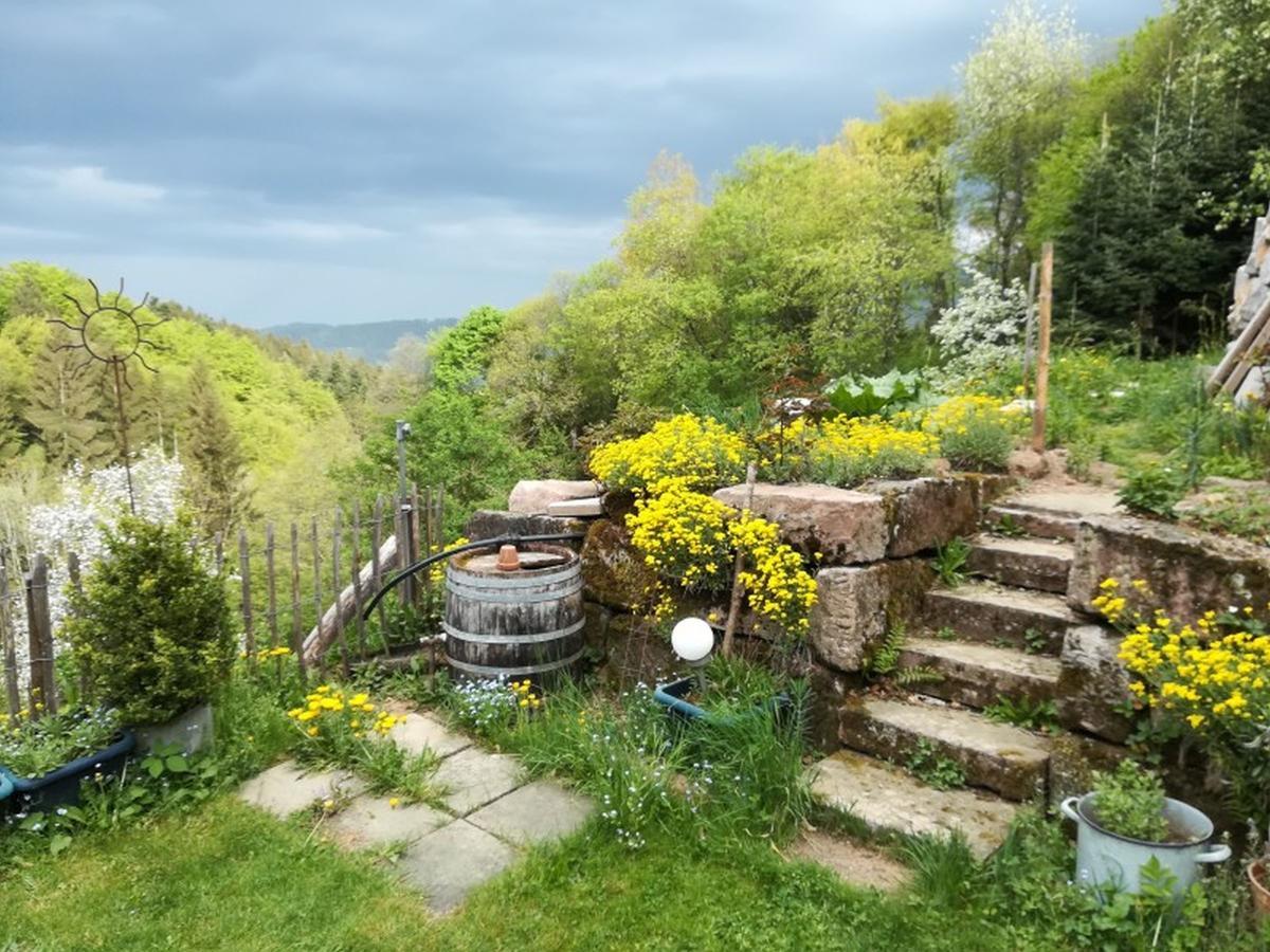 شقة أوبيرهارميرسباخ  في Langenberghof المظهر الخارجي الصورة