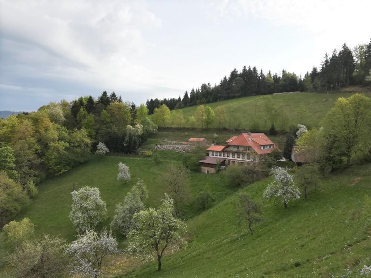 شقة أوبيرهارميرسباخ  في Langenberghof المظهر الخارجي الصورة