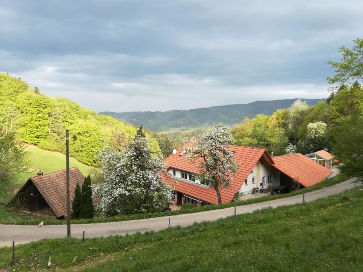 شقة أوبيرهارميرسباخ  في Langenberghof المظهر الخارجي الصورة