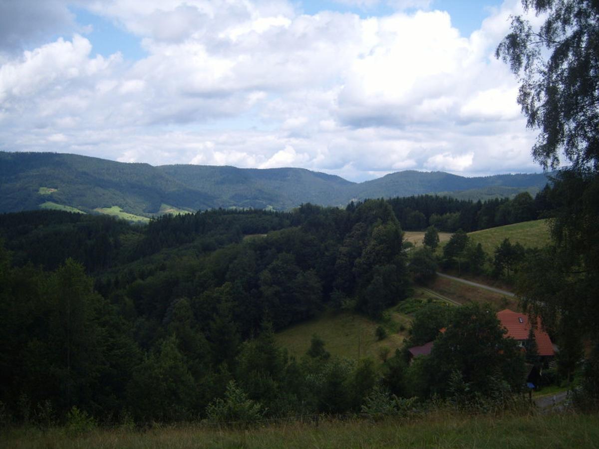 شقة أوبيرهارميرسباخ  في Langenberghof المظهر الخارجي الصورة