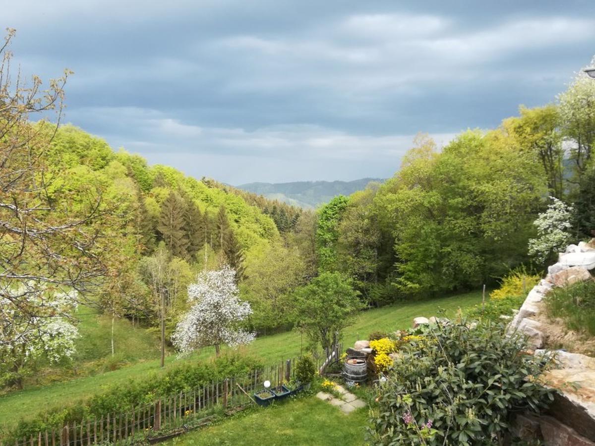 شقة أوبيرهارميرسباخ  في Langenberghof المظهر الخارجي الصورة