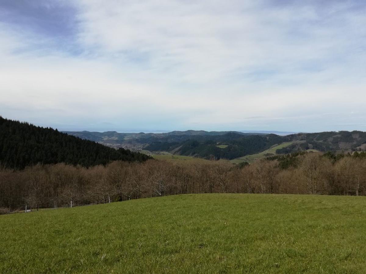 شقة أوبيرهارميرسباخ  في Langenberghof المظهر الخارجي الصورة